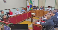 21ª Reunião Ordinária - Sessão Legislativa 2025