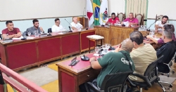 7ª Reunião Ordinária - Sessão Legislativa 2026