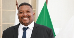 Prefeitura poderá executar corte de árvores em residências de população de baixa renda